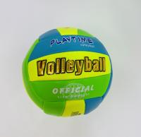 Мяч волейбольный (100)